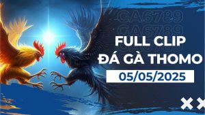 thomo 05