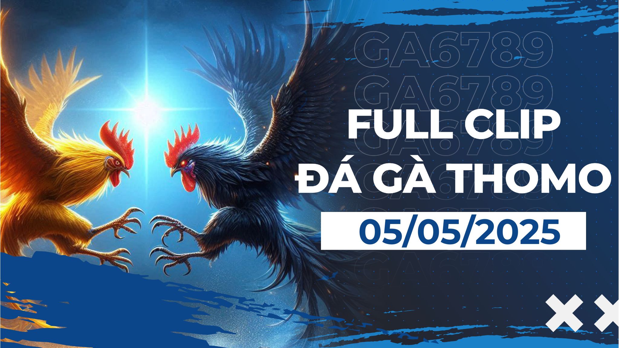 thomo 05