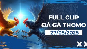 thomo 17 2 3