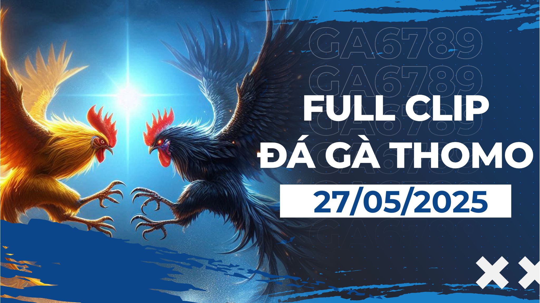thomo 17 2 3
